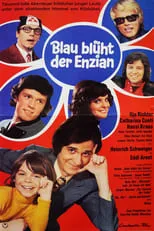 Blau blüht der Enzian portada