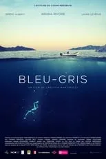 Película Bleu-Gris