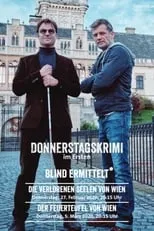 Portada de Blind ermittelt: Das Haus der Lügen