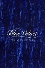 Poster de la película Blue Velvet: The Lost Footage - Películas hoy en TV