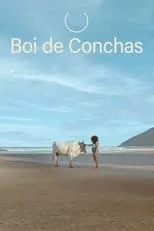 Película Boi de Conchas