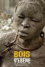 Película Bois d'ébène