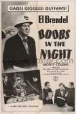 Póster de la película Boobs in the Night