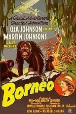 Película Borneo