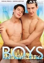 Poster de la película Boys and the City 3 - Películas hoy en TV