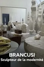 Christian Gonon es narration en Brancusi : les métamorphoses de la sculpture