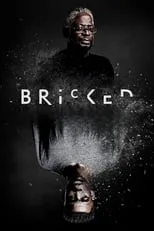 Póster de Bricked