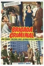 Póster de la película Brigada criminal