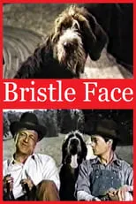 Póster de la película Bristle Face