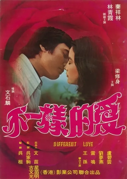 Póster de la película 不一樣的愛