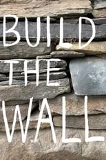 Póster de la película Build the Wall