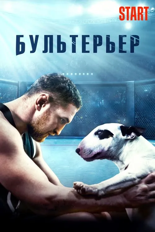 Póster de Бультерьер