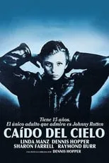 Póster de la película Caído del cielo