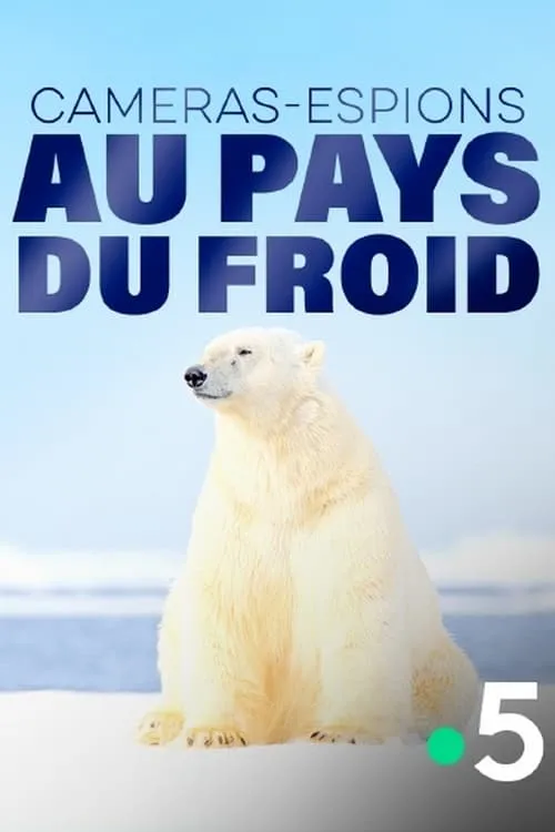 Póster de la película Caméras-espions au pays du froid