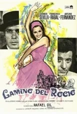 Póster de Camino del Rocío