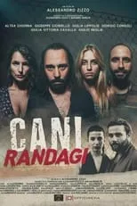 Película Cani randagi