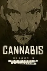 Póster de la película Cannabis : Une enquête de Mathieu Kassovitz et Antoine Robin