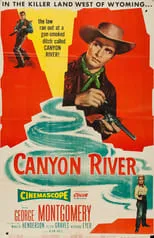 Póster de la película Canyon River