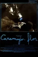 Película Caramujo-Flor