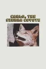 Película Carlo the Sierra Coyote