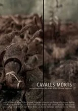 Poster de la película Cavalls morts - Películas hoy en TV