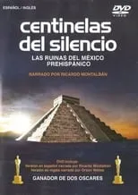 Póster de la película Centinelas del Silencio