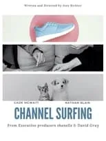 Póster de la película Channel Surfing