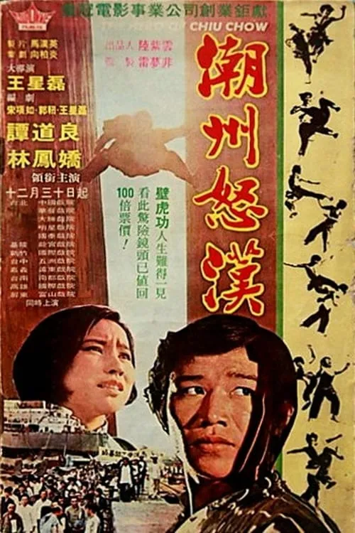 Póster de 潮州怒漢