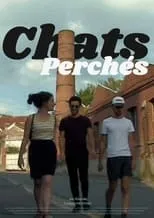 Película Chats perchés