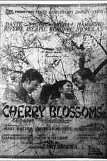 Película Cherry Blossoms