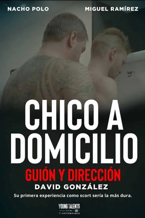 Póster de la película Chico a domicilio