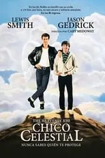 Poster de la película Chico celestial - Películas hoy en TV