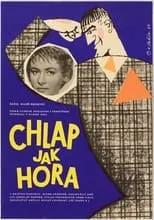 Póster de la película Chlap jako hora