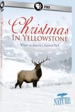 Portada de Christmas in Yellowstone