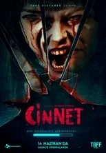 Poster de la película Cinnet - Películas hoy en TV