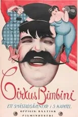 Póster de Cirkus Bimbini