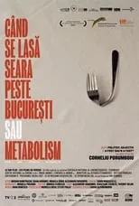 Poster de la película Când se lasa seara peste Bucuresti sau metabolism - Películas hoy en TV