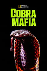 Daniel Oreskes es Narrator (voice) en Cobra Mafia