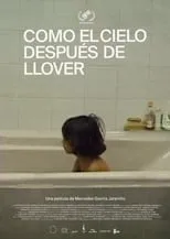 Película Como el cielo después de llover