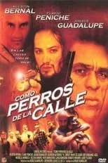 Poster de la película Como Perros de la Calle - Películas hoy en TV