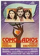 Póster de la película Como un adiós