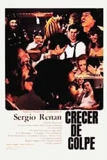 Póster de la película Crecer de golpe