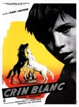 Película Crin Blanca