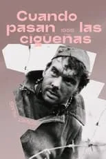 Poster de la película Cuando pasan las cigüeñas - Películas hoy en TV