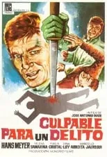 Póster de la película Culpable para un delito