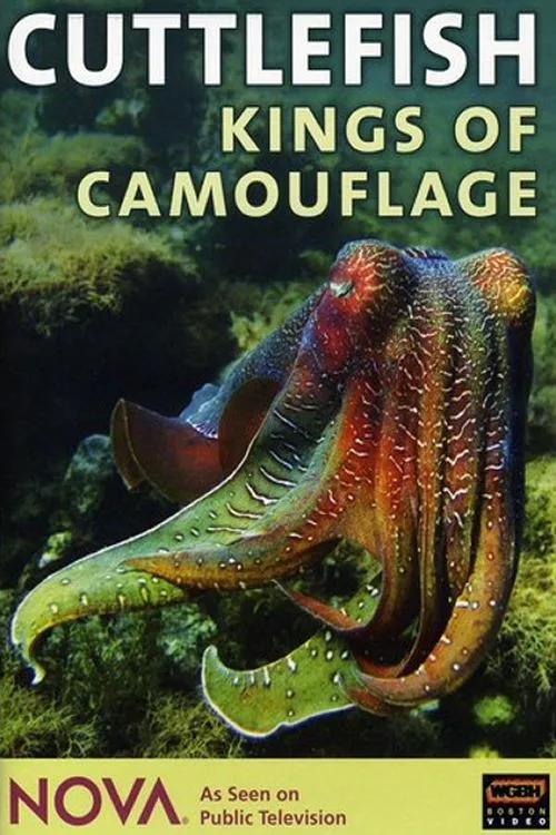 Póster de la película Cuttlefish: Kings of Camouflage