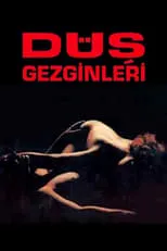 Película Düş Gezginleri