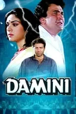 Meenakshi Sheshadri es Damini Gupta en Damini