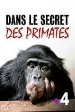 Portada de Dans le secret des primates