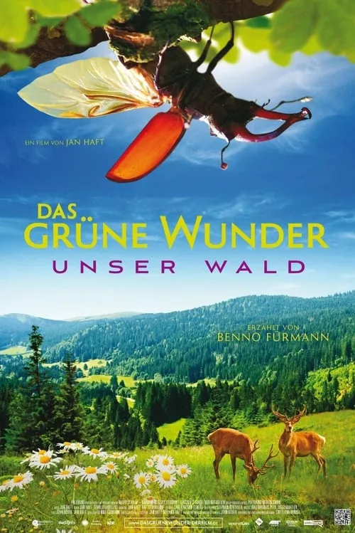 Poster de la película Das grüne Wunder - Unser Wald - Películas hoy en TV